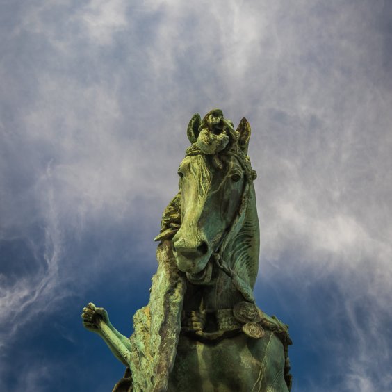 The Supreme Commander's horse