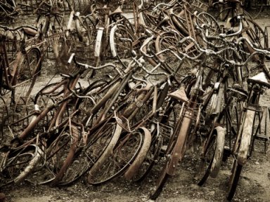 Bike shed