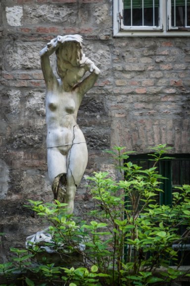 In the Secret Garden
