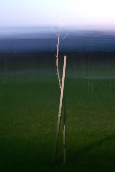 Hour of dusk