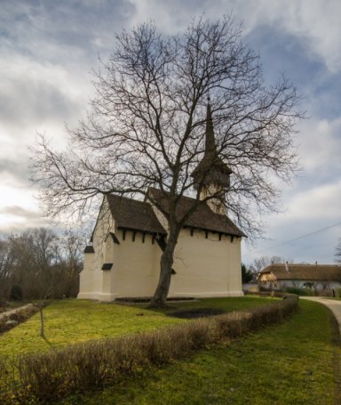 The church's tree