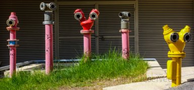 Observers