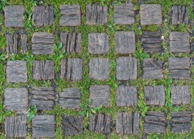 Grass and wood