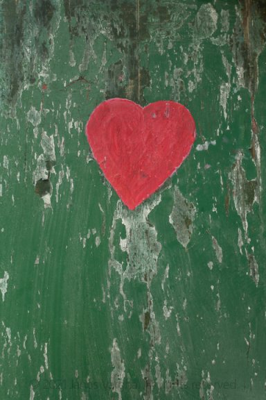All you need