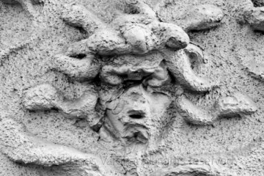 Plaster