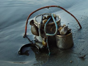 Low water