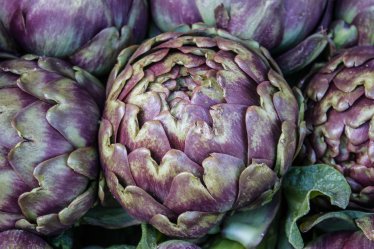 Artichoke