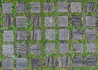 Grass and wood