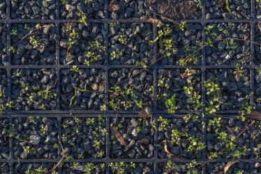 Simple grid